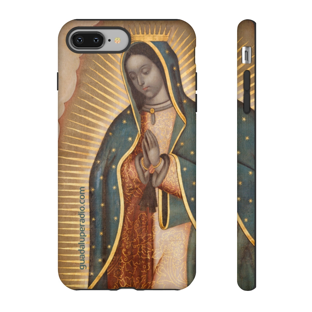 Case Virgen de Guadalupe