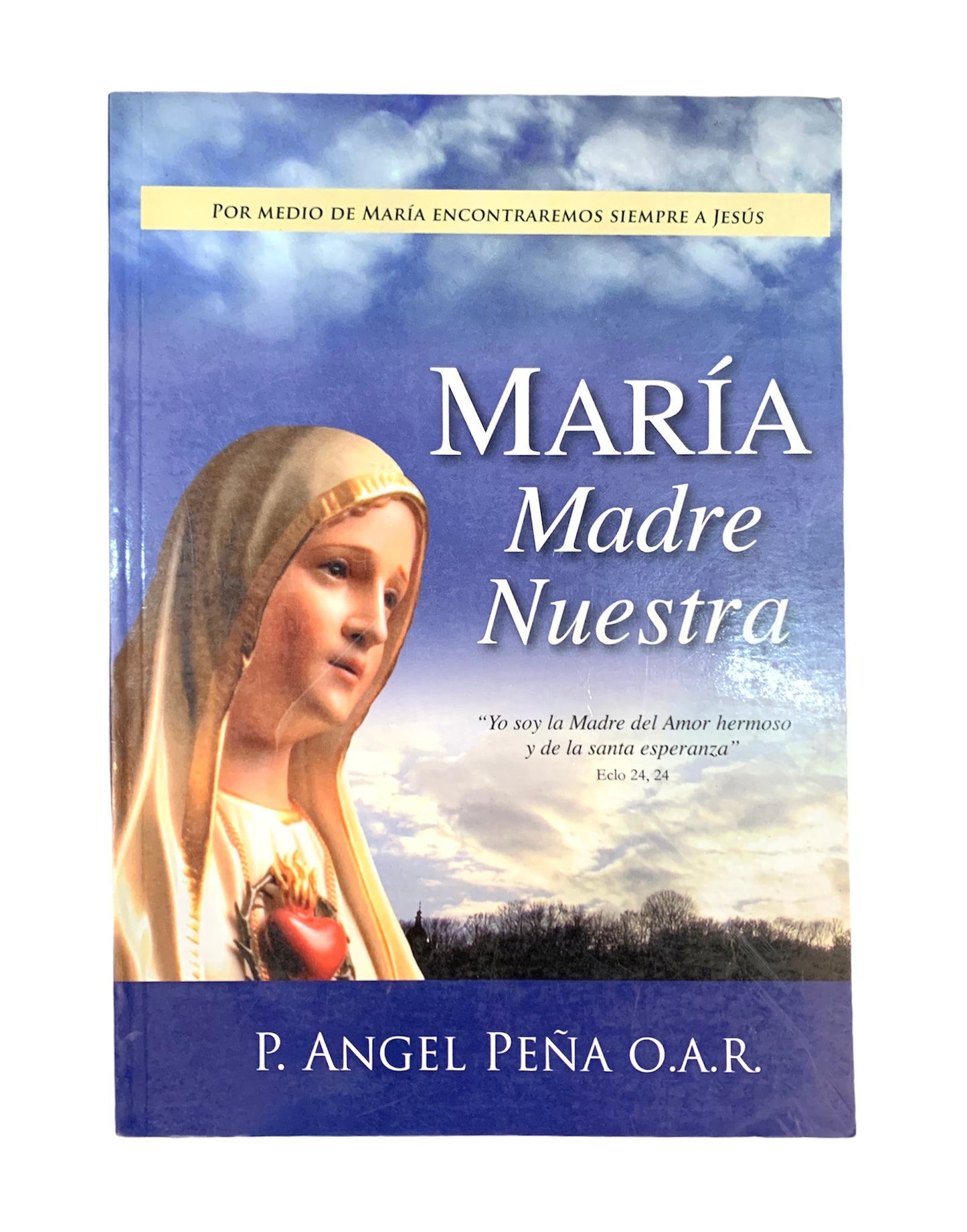 Libro: Maria madre nuestra - Padre Angel Peña