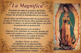 Cedula de protección