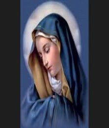 En Santa Maria del Monte nuestra meta es evangelizar y nuestros productos nos ayudan a hacerlo, por eso te presentamos esta novena que encontrarás en nuestra sección de Promocionales. Disfrútalo y ayúdanos a llevar el mensaje de Cristo. Nuestros productos hablan por sí solos