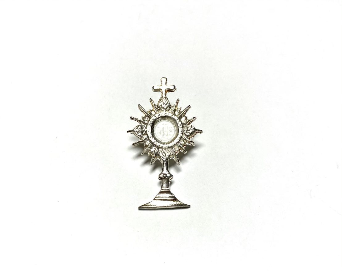 Pin: Custodia