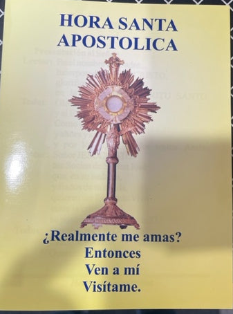 Hora Santa Apostolica