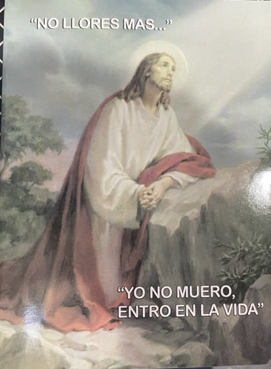 No llores más-Yo no muero entro en la vida