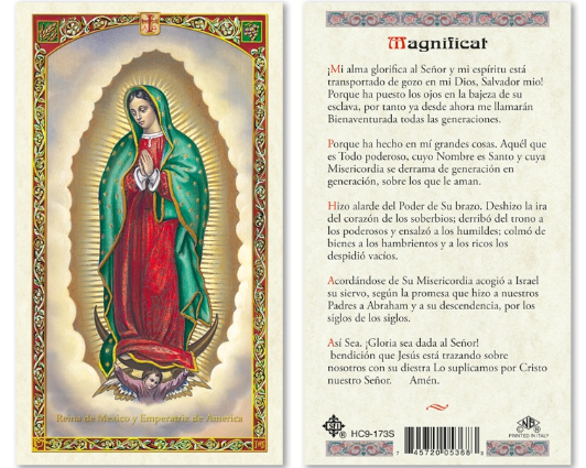 Virgen de Guadalupe/Magnifica