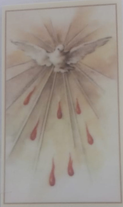 Espiritu Santo/Holy Spirit - Estampa/Holy card