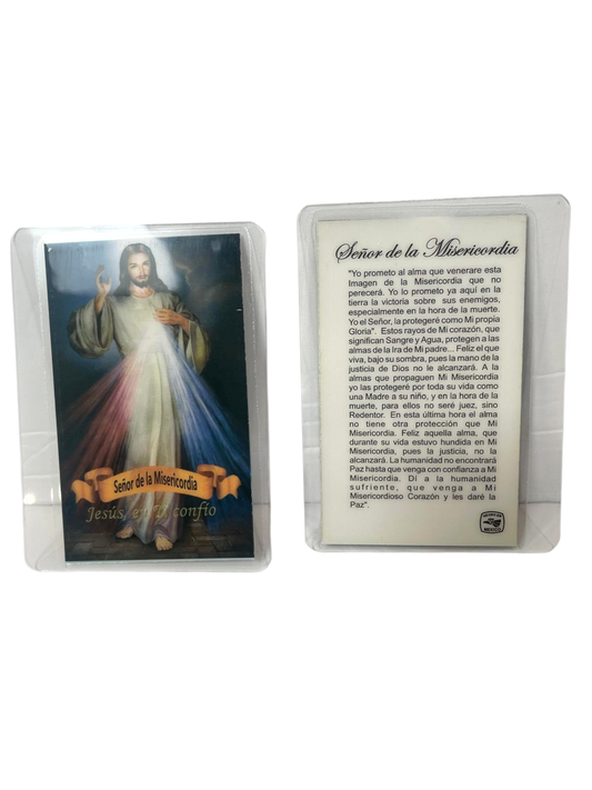 Estampa Señor de la Misericordia