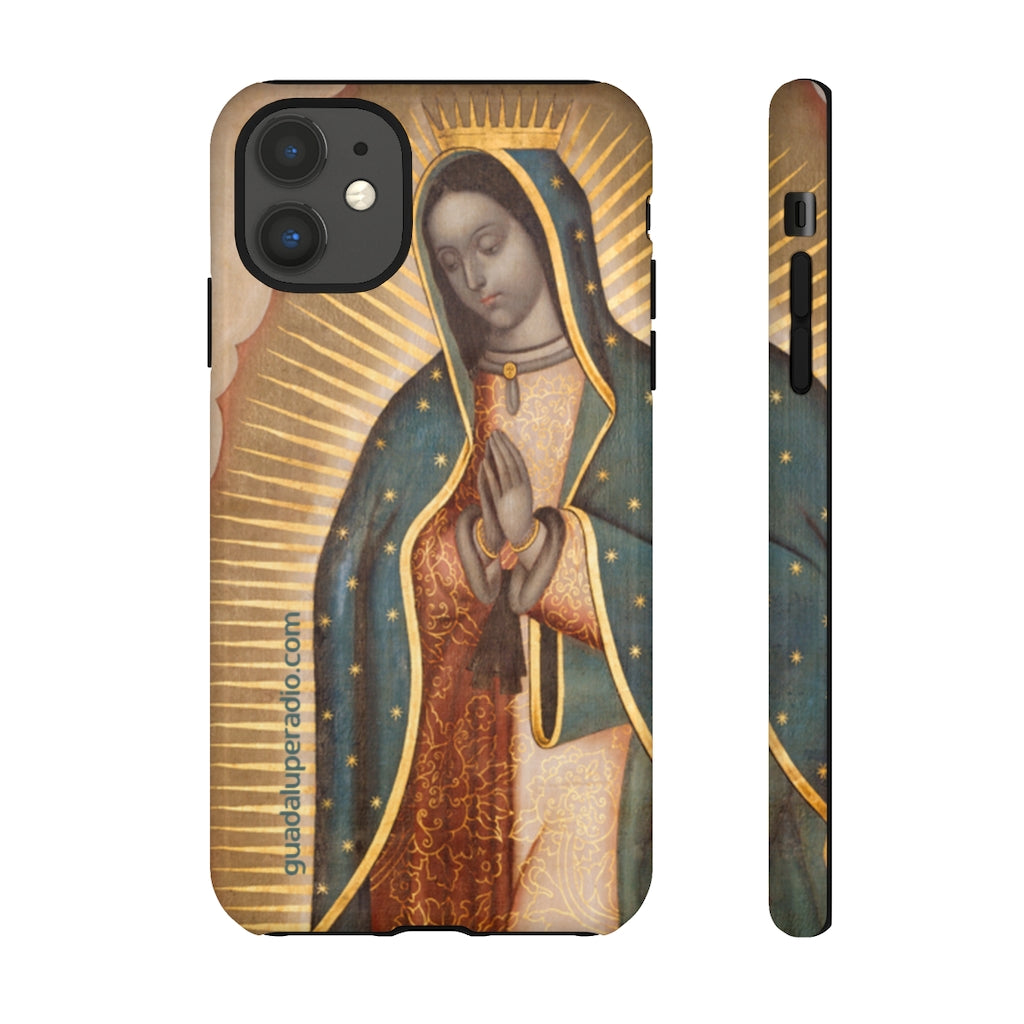 Case Virgen de Guadalupe