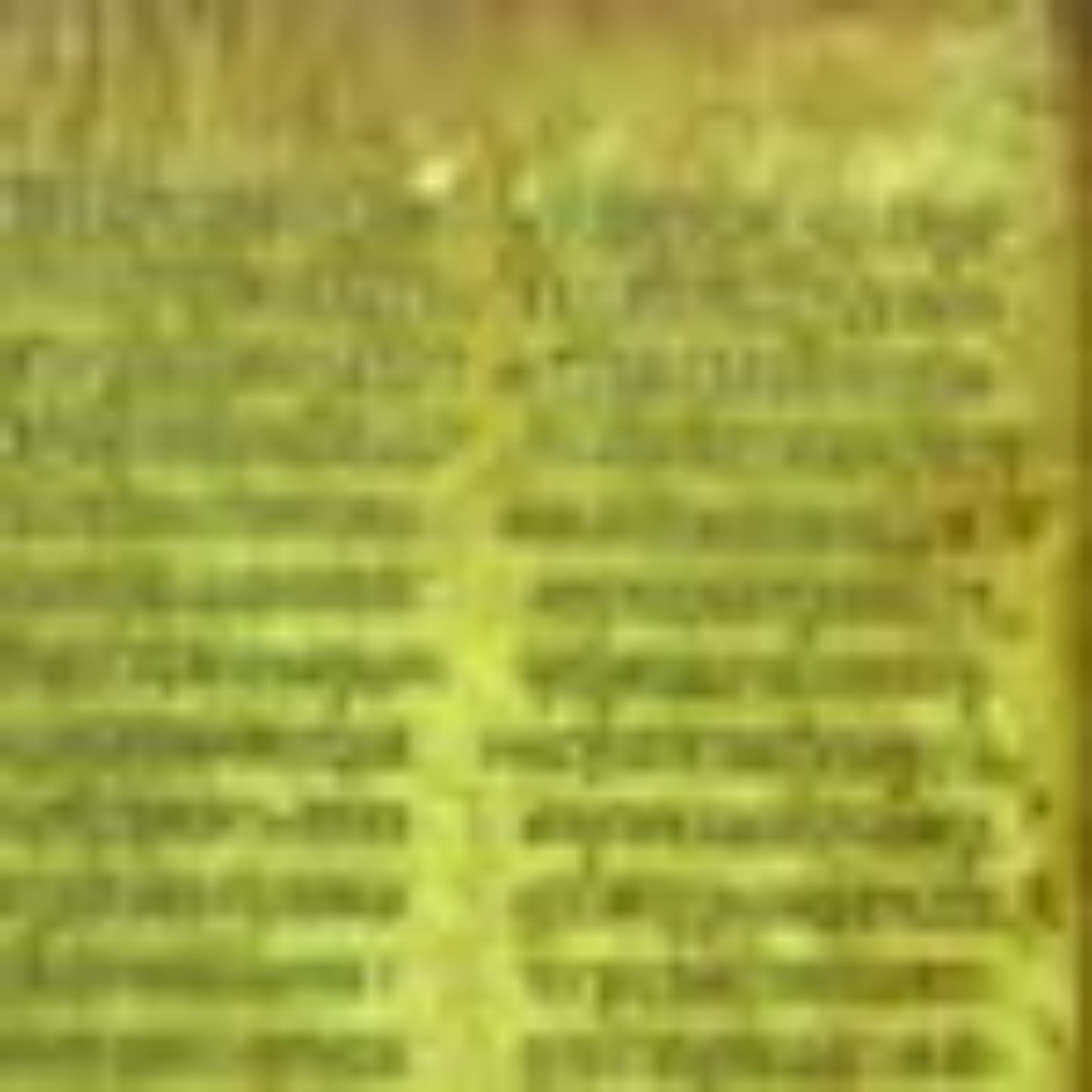 Diccionario de la Biblia - Herbert  Haag/ Adrianus Van den Born/ S/ de Ausejo