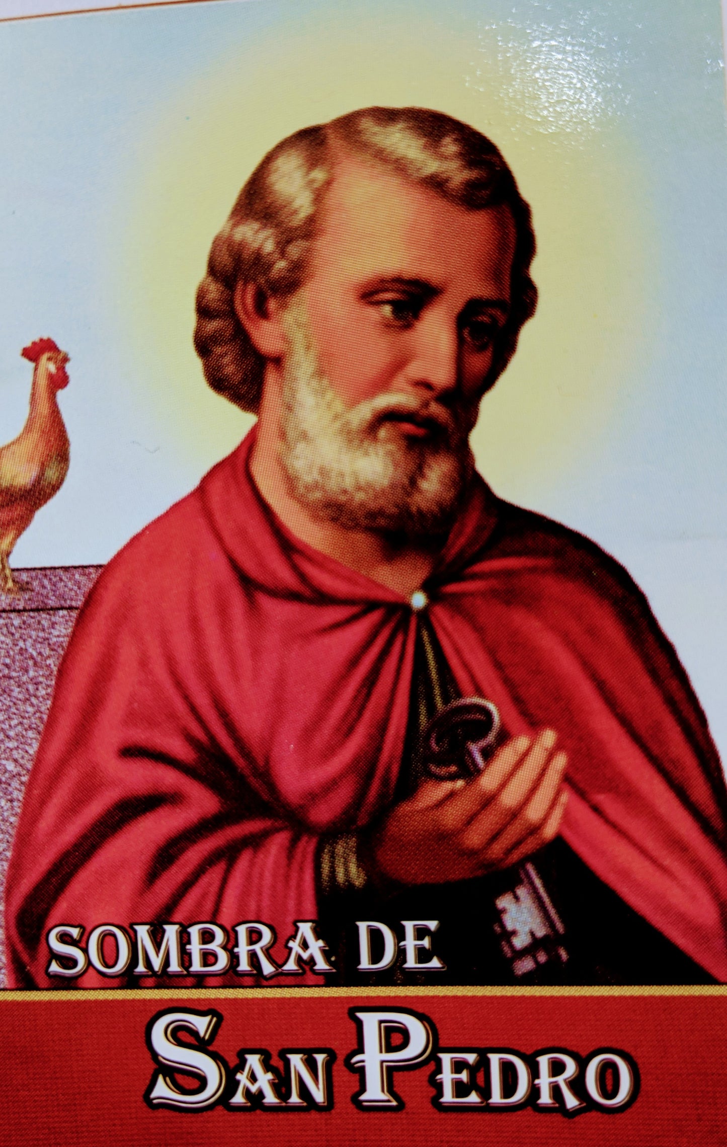 En Santa Maria del Monte nuestra meta es evangelizar y nuestros productos nos ayudan a hacerlo, por eso te presentamos esta novena que encontrarás en nuestra  sección de Novenas  y Oraciones. Disfrútalo y ayúdanos a  llevar el mensaje de Cristo.   Nuestros productos hablan por sí 