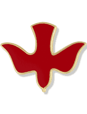 Pin: Paloma
